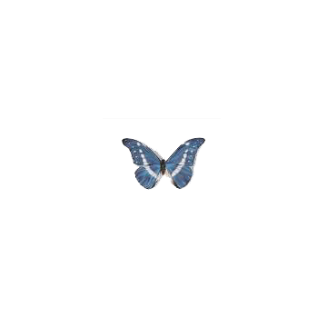 cd-1 - S1_butterfly.gif