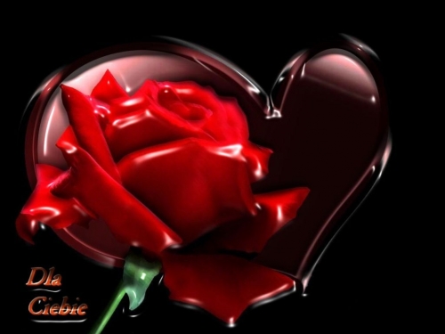  GALERIA                ................................ - Rose in heart.jpg