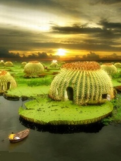 tapetki - Cactus_Pond.jpg